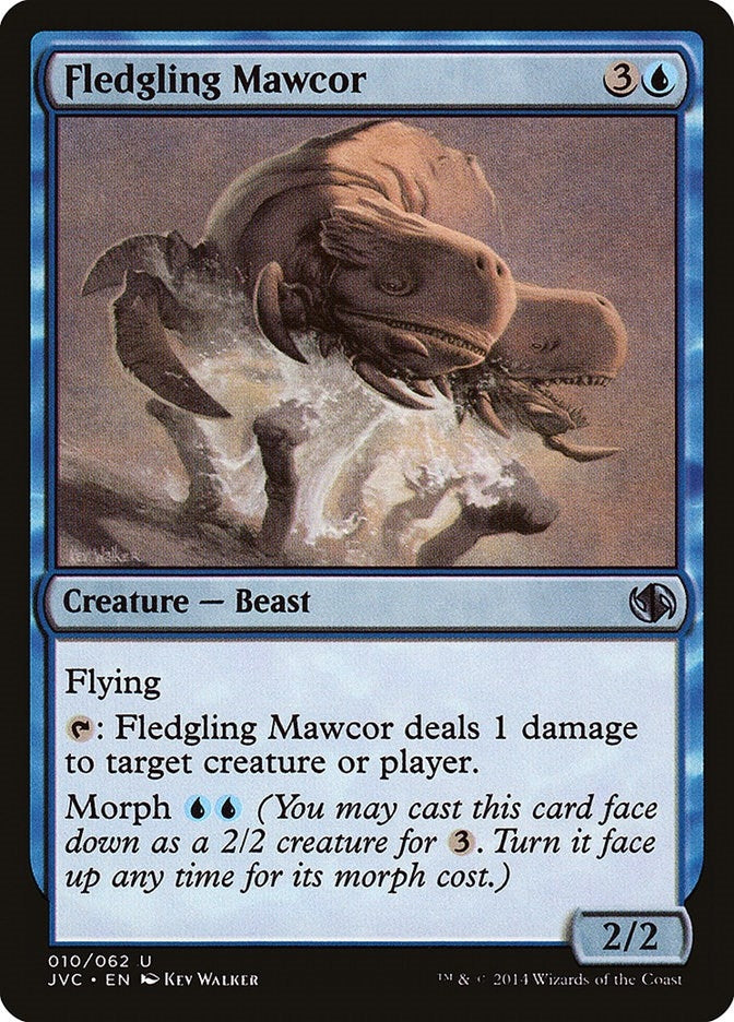 Fledgling Mawcor [DD3]