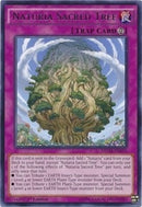 Naturia Sacred Tree (NECH-EN076) [NECH]