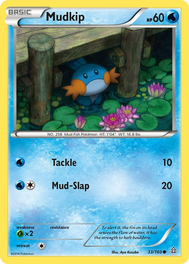 Mudkip (33/160) [PRC]