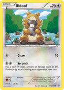 Bidoof (116/160) [PRC]