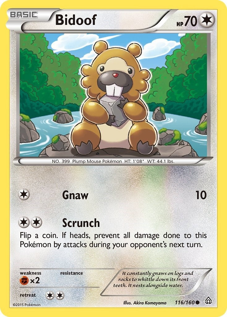 Bidoof (116/160) [PRC]