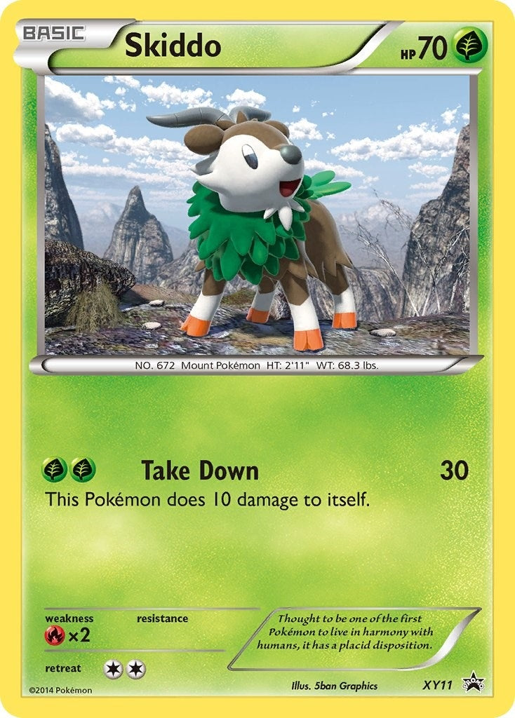 Skiddo XY11 (XY11) [PR]
