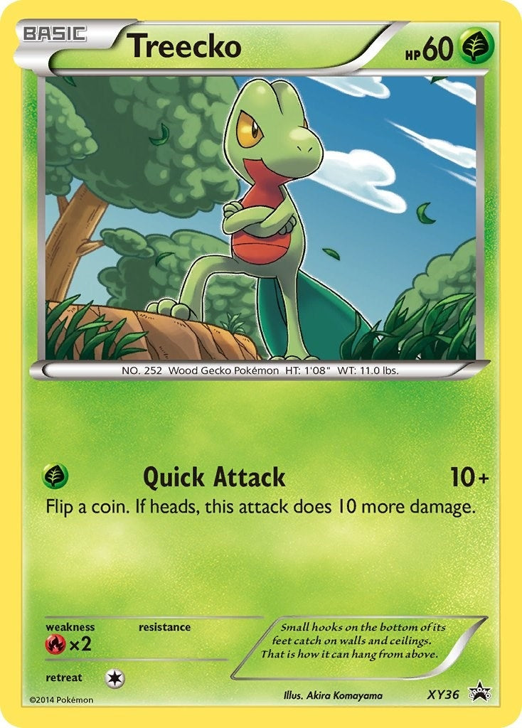 Treecko XY36 (XY36) [PR]