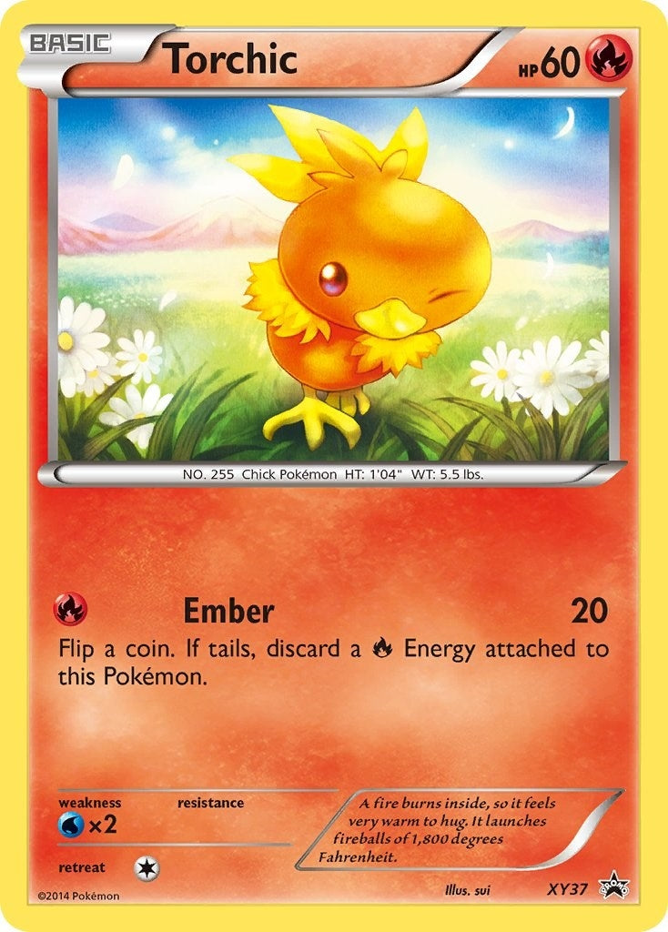 Torchic XY37 (XY37) [PR]