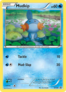 Mudkip XY38 (XY38) [PR]
