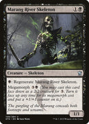 Marang River Skeleton (108) [DTK]