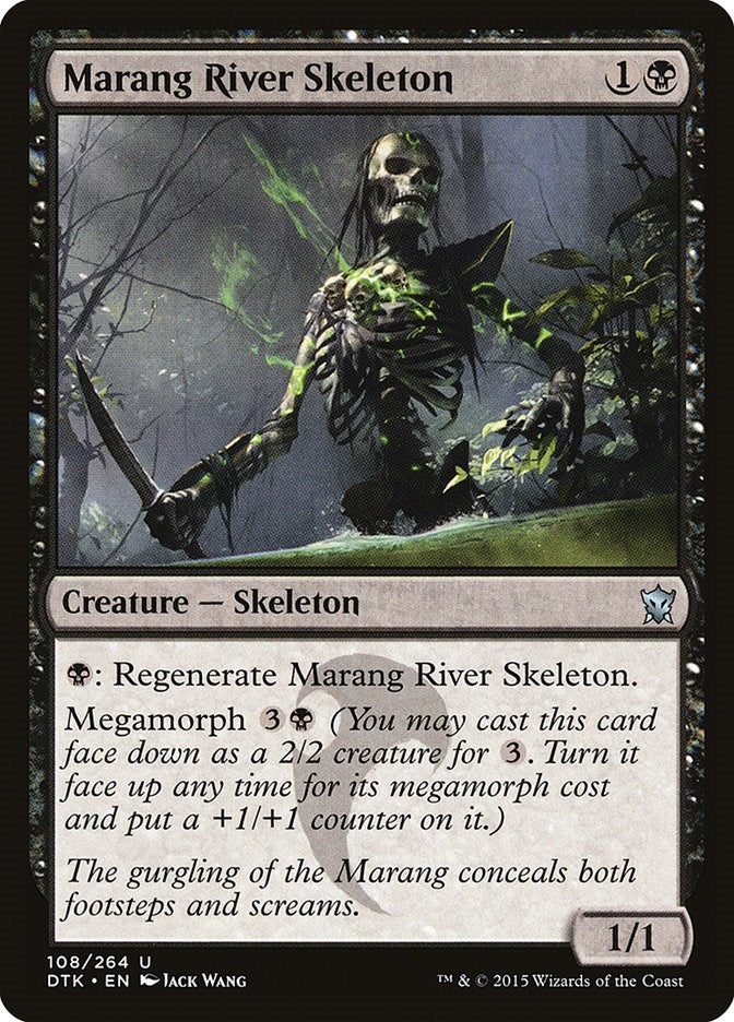 Marang River Skeleton (108) [DTK]