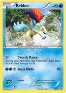 Keldeo BW60 (BW60) [PR]