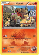 Team Magmas Numel (1/34) [DCR]