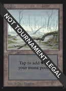 Swamp (White Fog in Trees) [International Collectors' Edition]