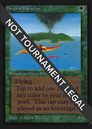 Birds of Paradise CE [CED]