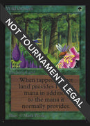 Wild Growth CE [CED]