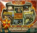 Pyroar Box [FLF]