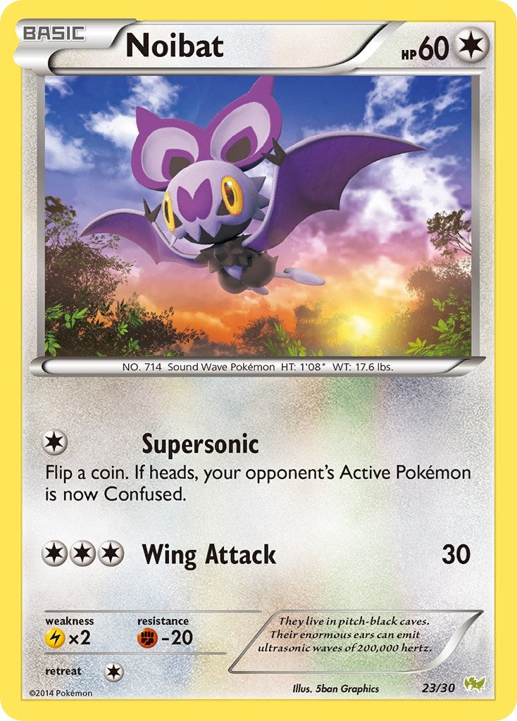 Noibat 23 (12/30) [PR]