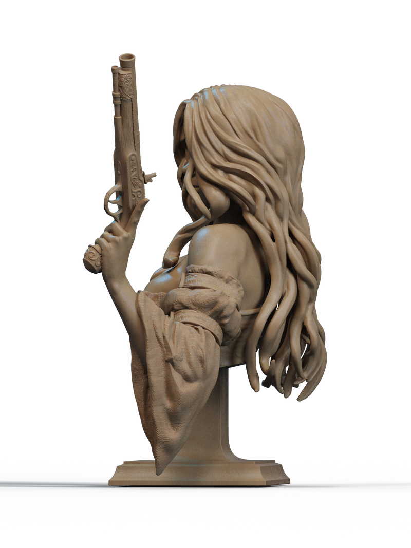 Pirate Resin Bust - view 2