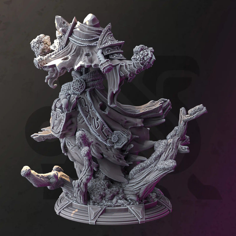 Brisini – Boreal Wraith by DM Stash - image 2