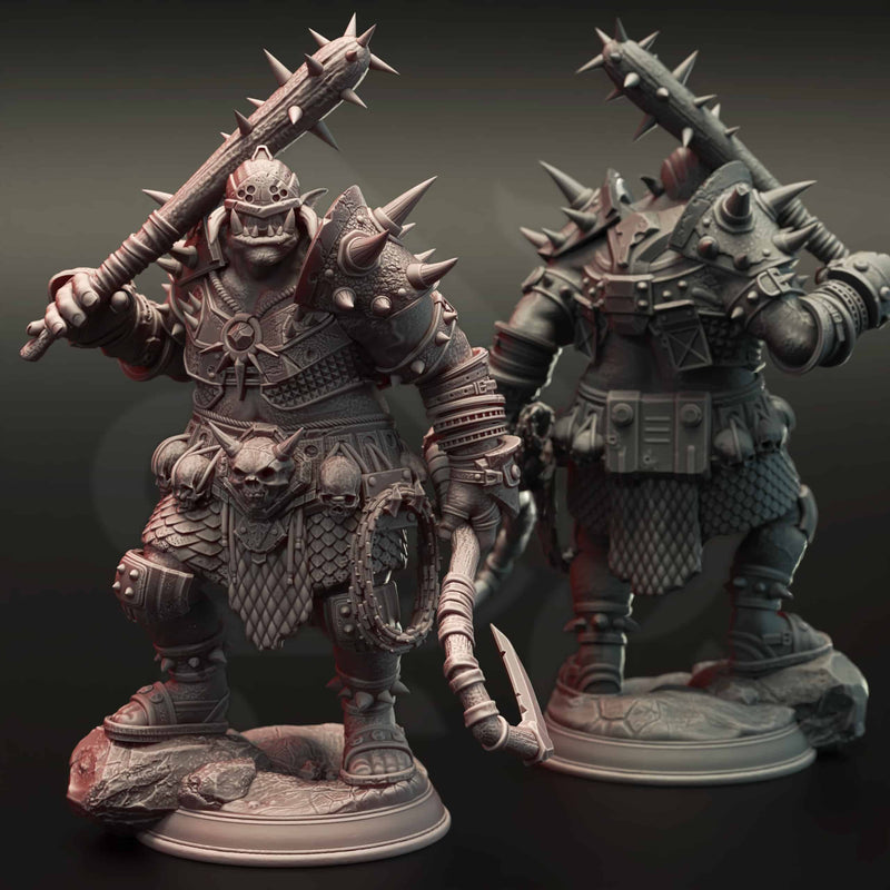Bruz the Basher – Second In Charge by DM Stash - image 1