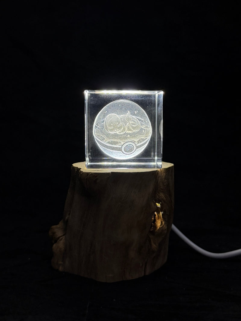 Sleeping Charmander Poké Ball 3D Crystal Engraving – Pokémon Laser Crystal Display