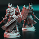 Caedes – Zealous Paladin of Erdrydion by DM Stash - image 2