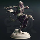 Cahira – Elven Sun Dancer by DM Stash - image 1