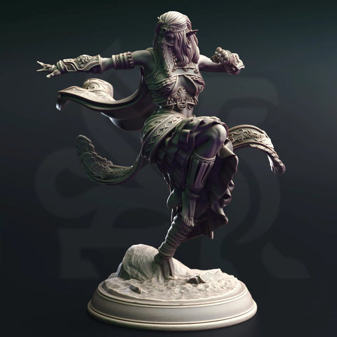 Cahira – Elven Sun Dancer by DM Stash - image 1