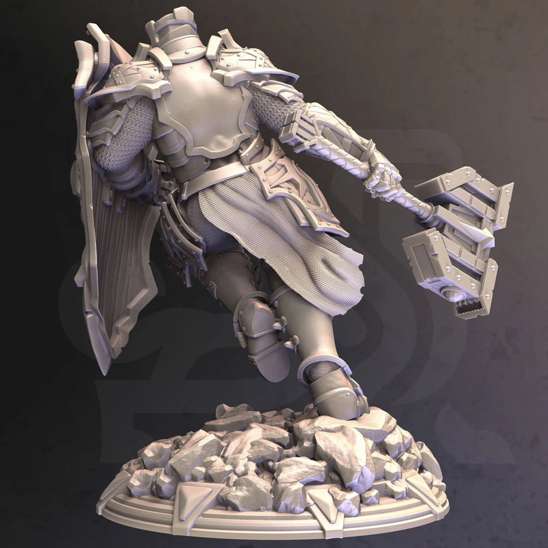 Cardioth – Holy Paladin by DM Stash - image 2