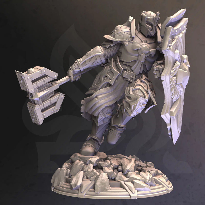 Cardioth – Holy Paladin by DM Stash - image 1