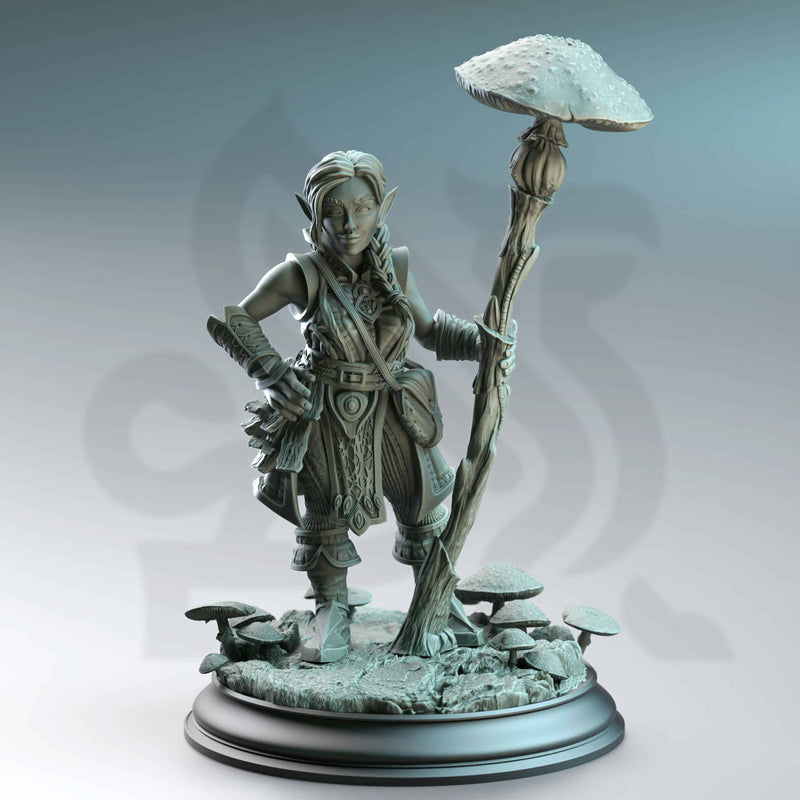 Cordelia the Homestead Hermit – Halfling Druid by DM Stash - image 1