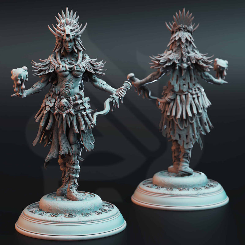 Driga – Colossal Blood Shaman by DM Stash - image 1