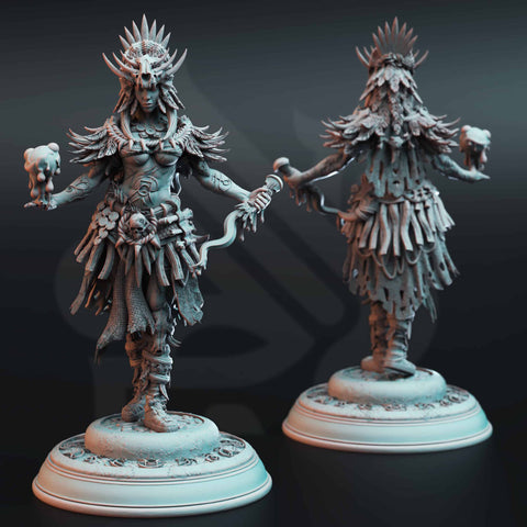 Driga – Colossal Blood Shaman by DM Stash - image 1