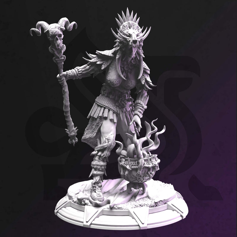 Driga – Shaman Wise-Woman by DM Stash - image 1