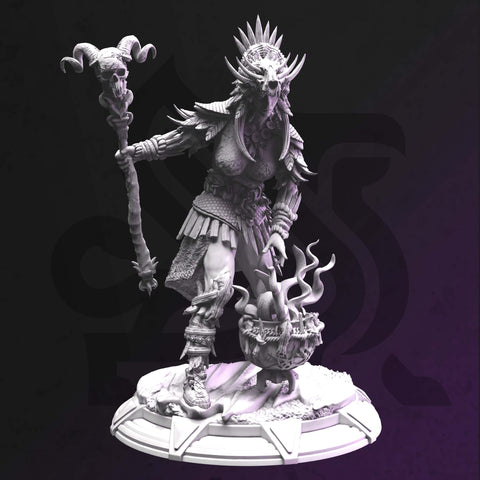Driga – Shaman Wise-Woman by DM Stash - image 1