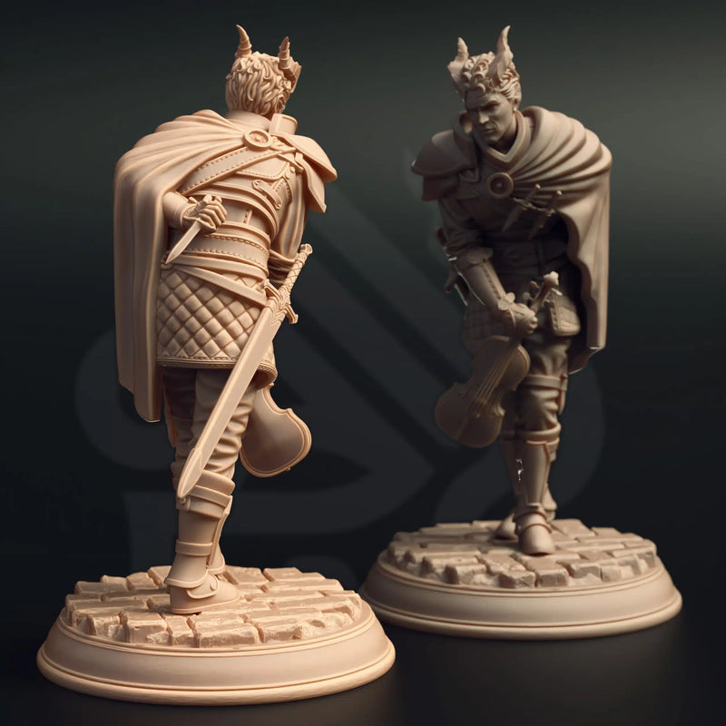 Eramis – The Fighting Fiddler by DM Stash - image 2