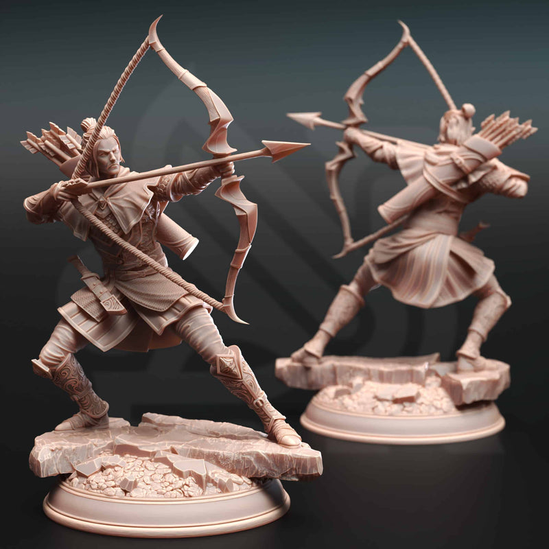 Ervion ro Estel – Elven Ranger by DM Stash - image 1