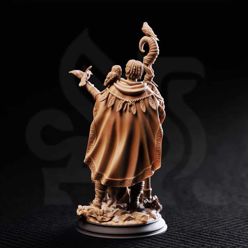 Gwambari – Animal Friend Shaman by DM Stash - image 2