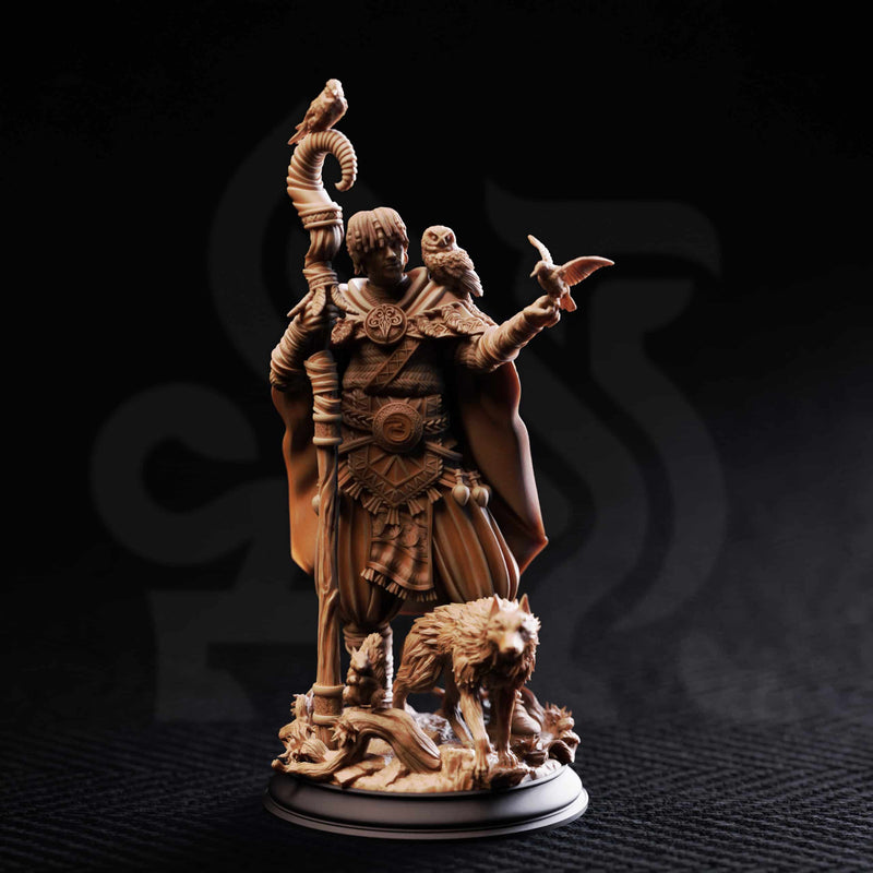 Gwambari – Animal Friend Shaman by DM Stash - image 1