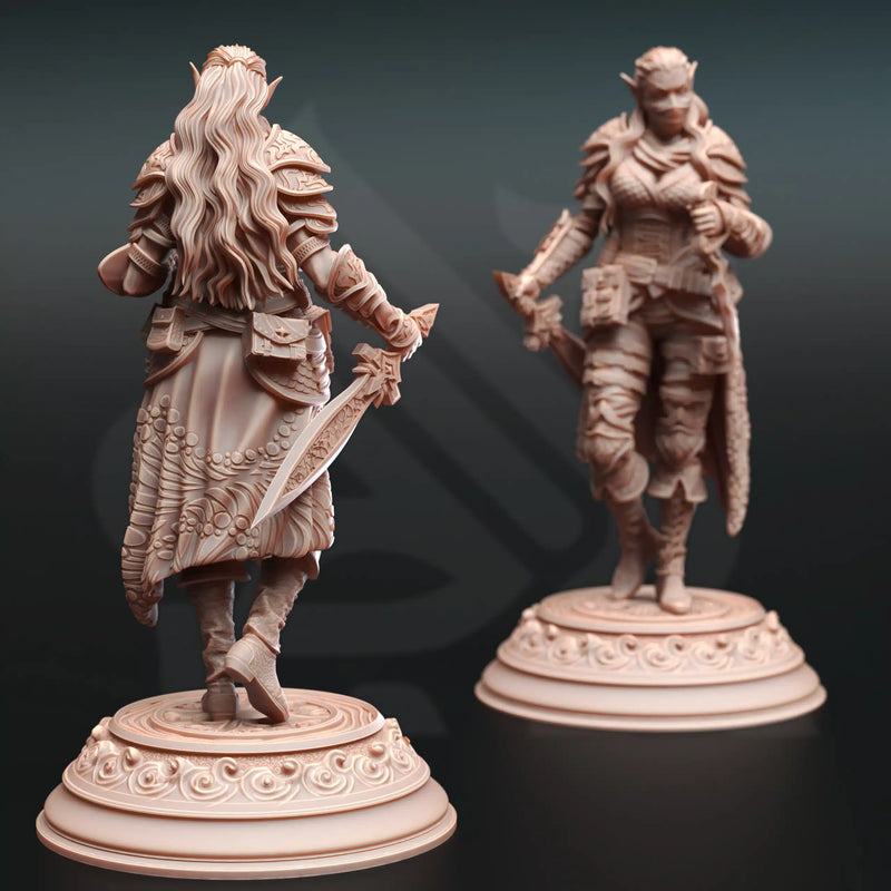 Hali Brookes – Water Elemi Swashbuckler Rogue by DM Stash - image 2