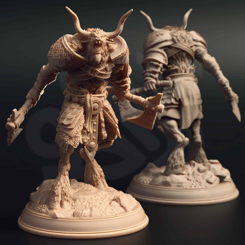 Hannes Vyrios – Noble Barbarian by DM Stash - image 1