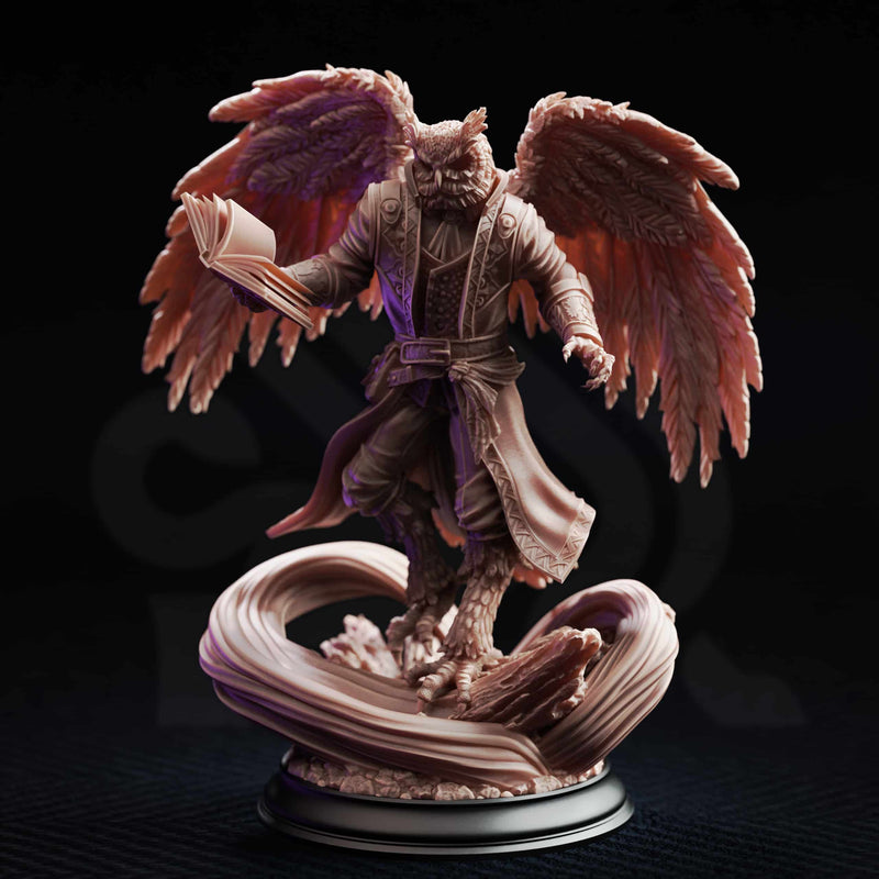 Hoover Brightfeather – Student of Evocation by DM Stash - image 1