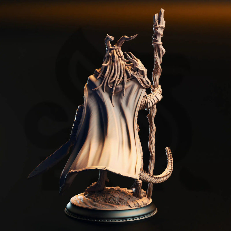Horzin Ashen-Palm – Black Dragonkin Druid by DM Stash - image 2