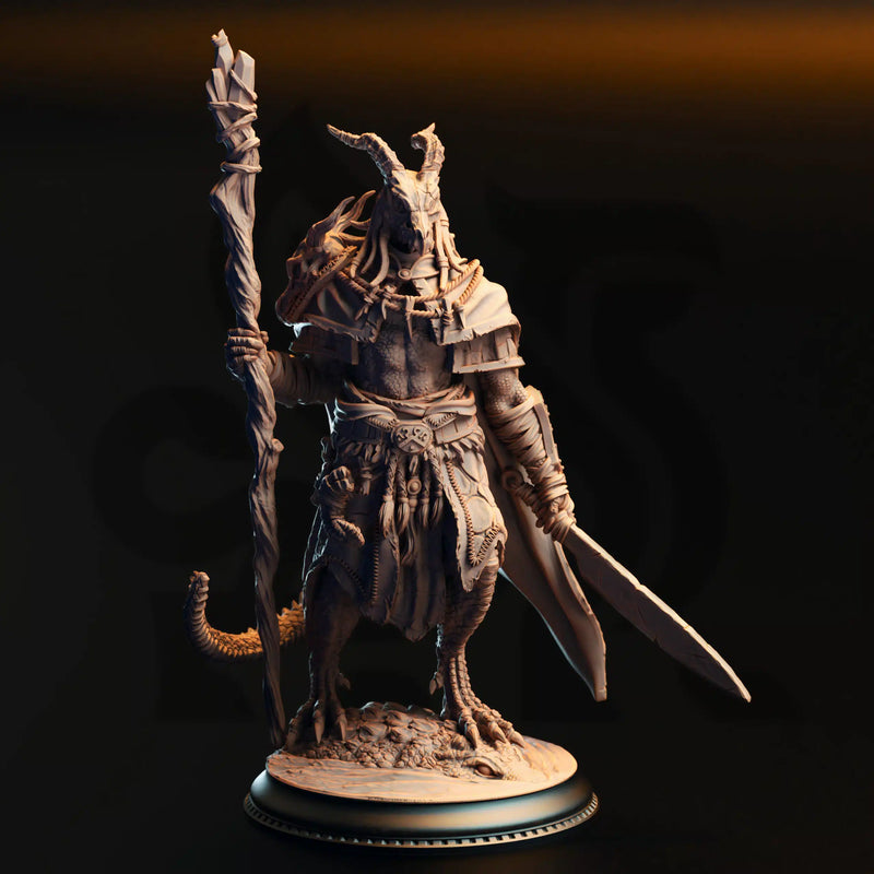 Horzin Ashen-Palm – Black Dragonkin Druid by DM Stash - image 1