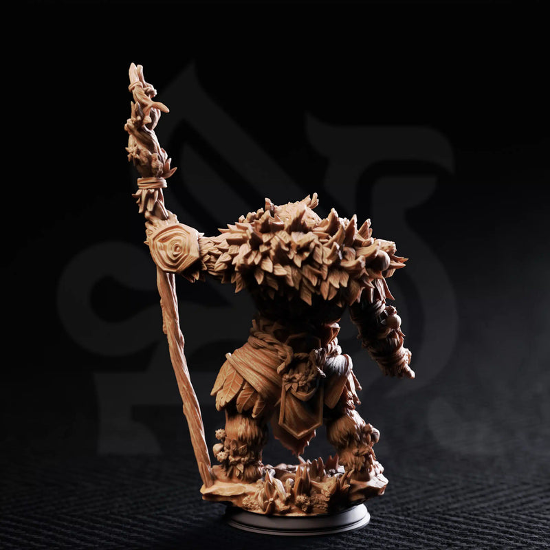 Hvitabjörn – Druid of the White Tundra by DM Stash - image 2