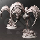 Hyl Hygrie – Hill Harpies by DM Stash - image 2