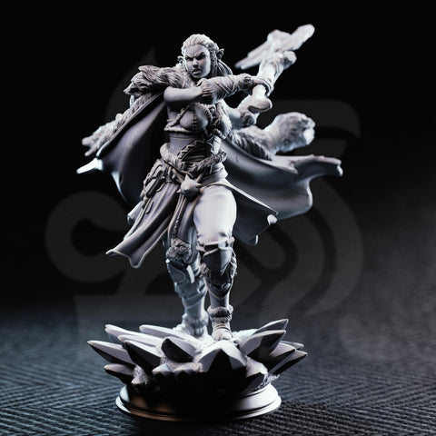 Ice Heart – Colossal Barbarian Sorcerer by DM Stash - image 1