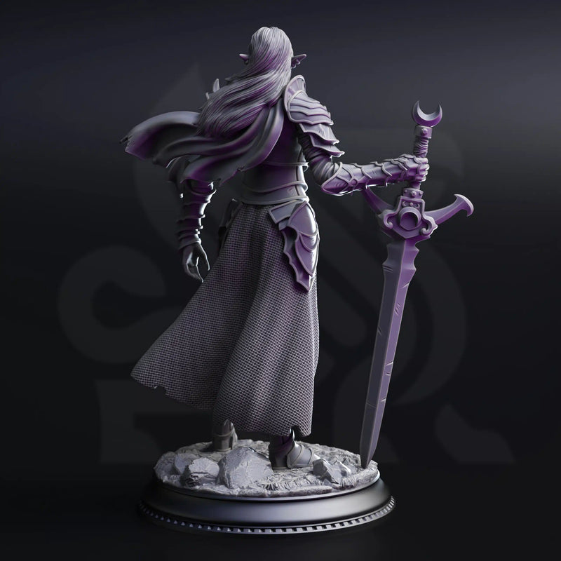 Ilnia Vasrith – Paladin of the Moon’s Sanctum by DM Stash - image 2