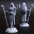 Irinia – Drow Spidermancer by DM Stash - image 1