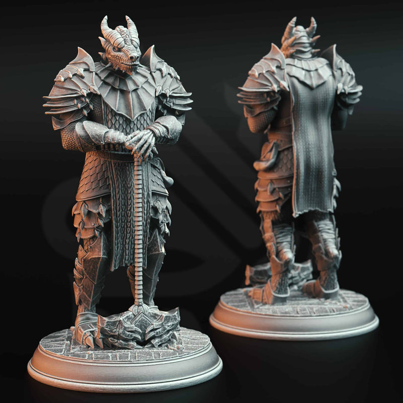Knights of the Dragon by DM Stash - image 1