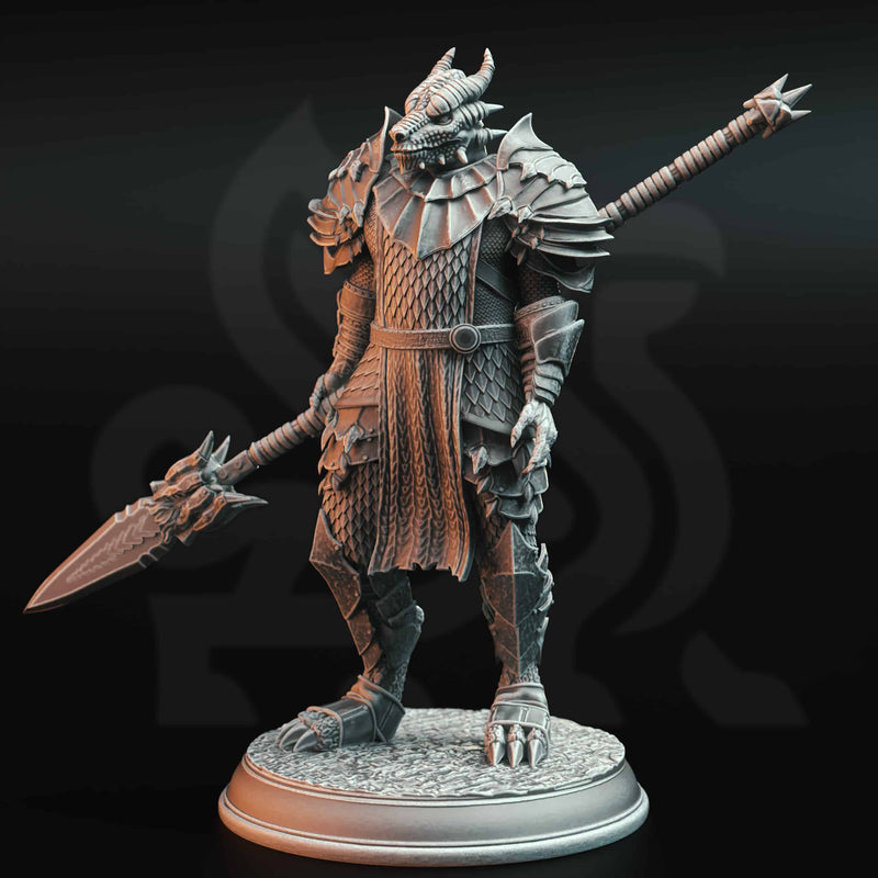 Knights of the Dragon by DM Stash - image 3