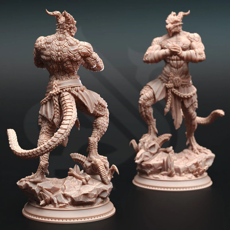 Kuthrak’va – Dragonborn Pugilist by DM Stash - image 2