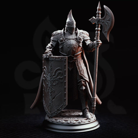 Lars von Findros – Elite Knight of the North by DM Stash - image 1
